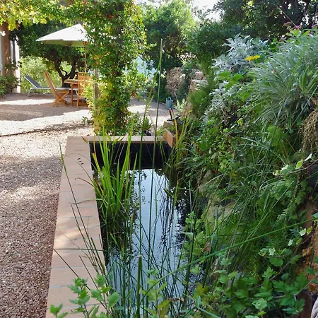 Corse D'architecte Vue Exceptionnelle ピアナ