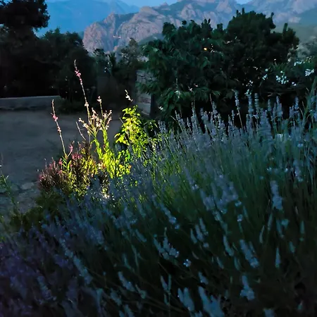 Corse D'architecte Vue Exceptionnelle * Piana (Corsica)